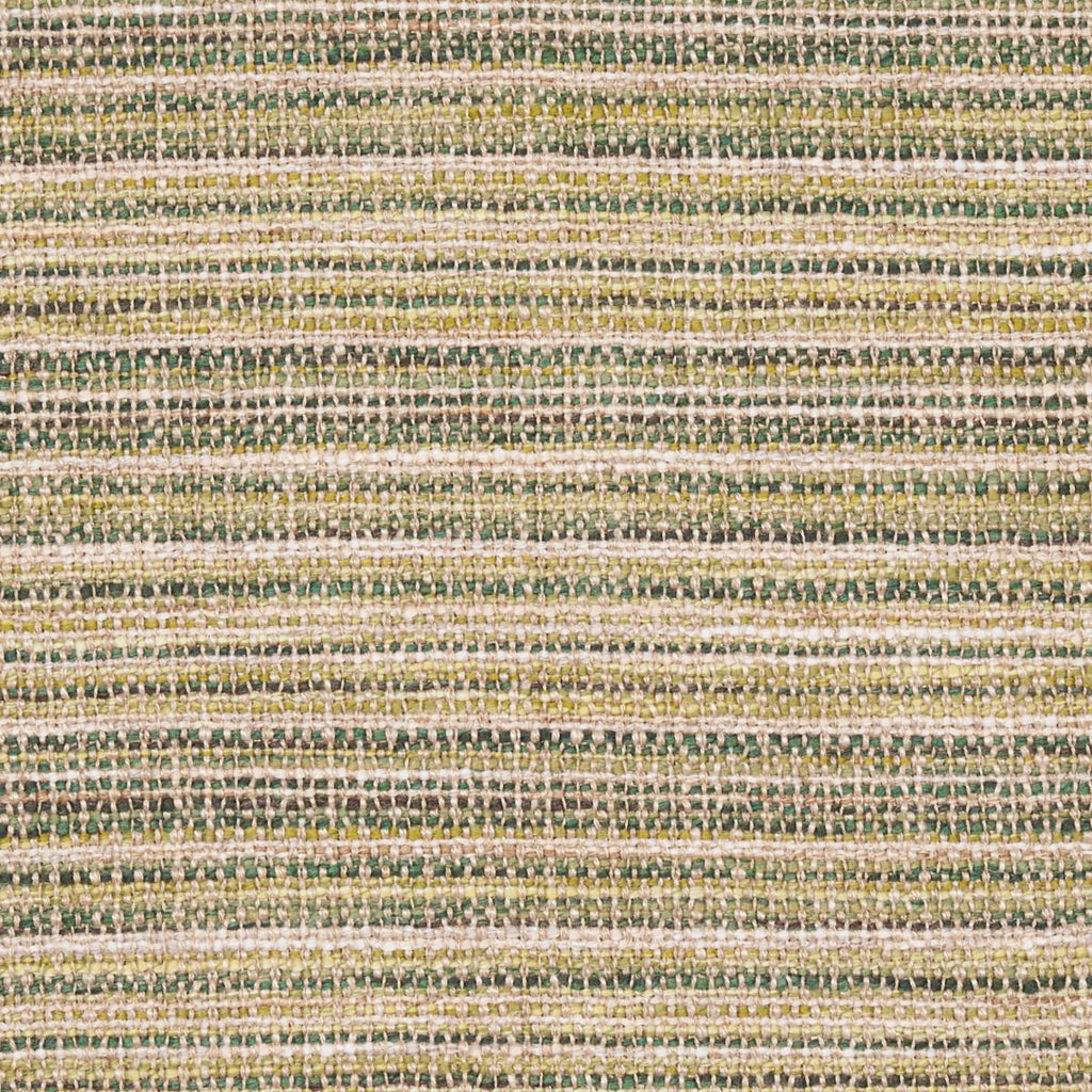 Schumacher Formentera Performance Moss Fabric