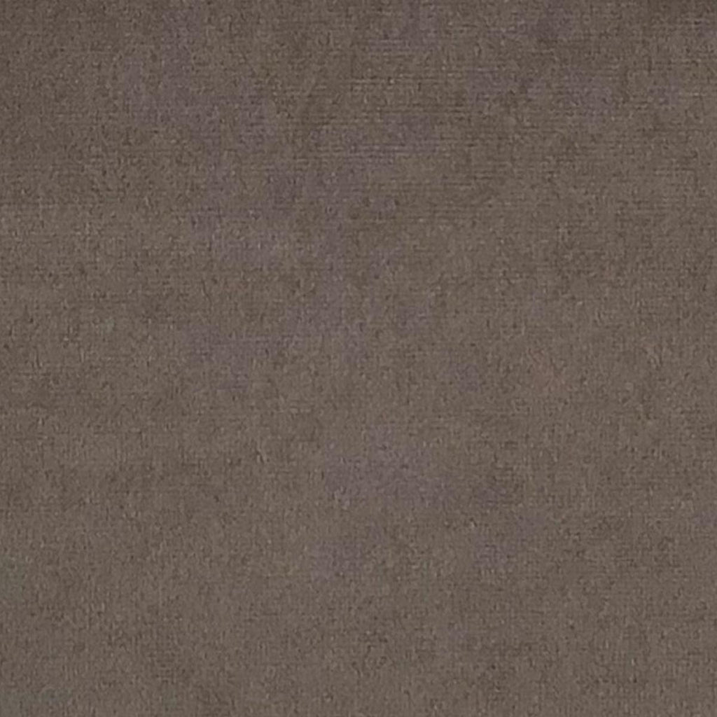 Schumacher Venus Velvet Sand Fabric