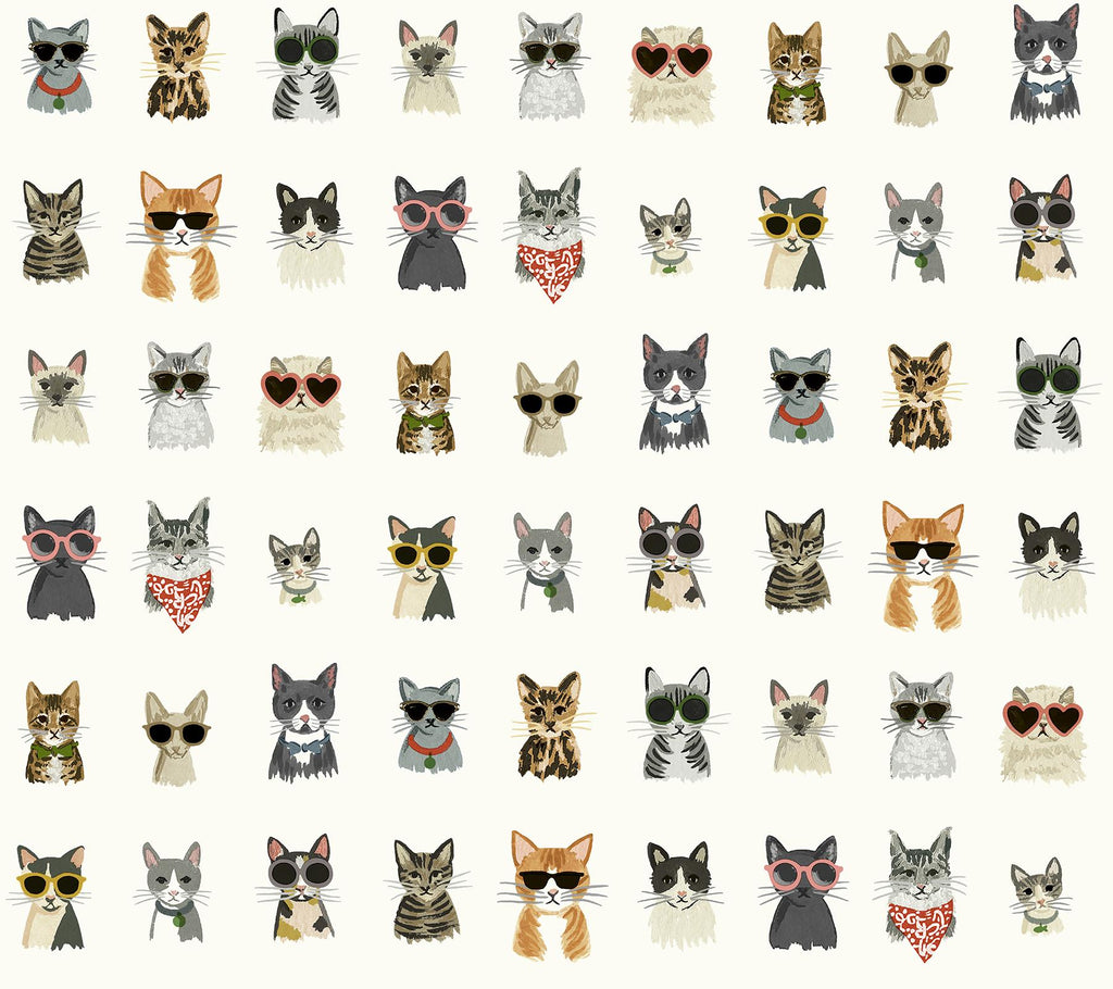 Rifle Cool Cats Peel & Stick Multi White Wallpaper