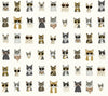 Rifle Paper Co. Cool Cats Peel And Stick Grey & Gold Wallpaper