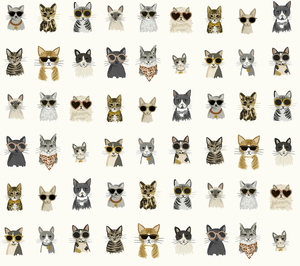 Rifle Cool Cats Peel & Stick Grey & Gold Wallpaper