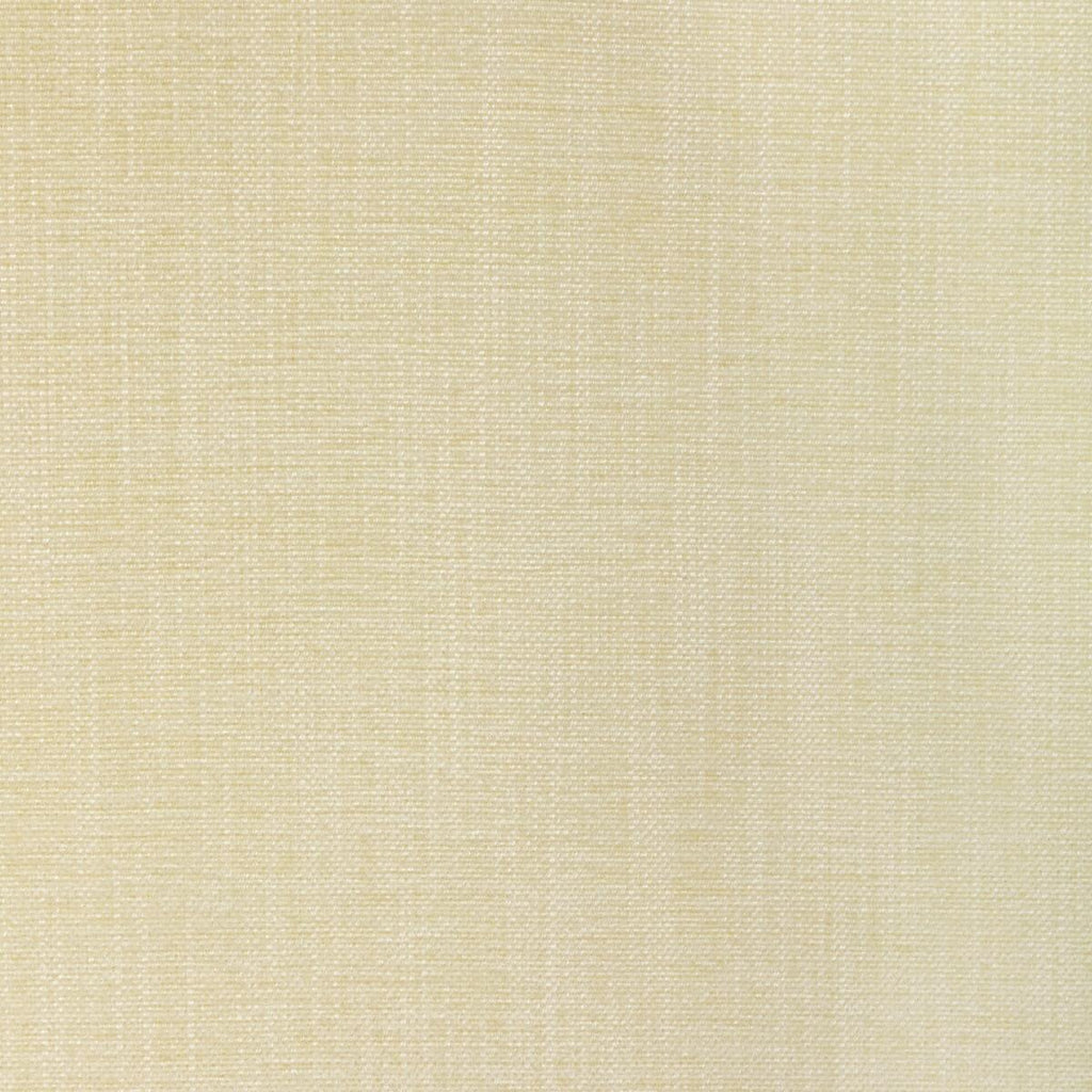 Kravet KRAVET SMART 36650-1111 Fabric