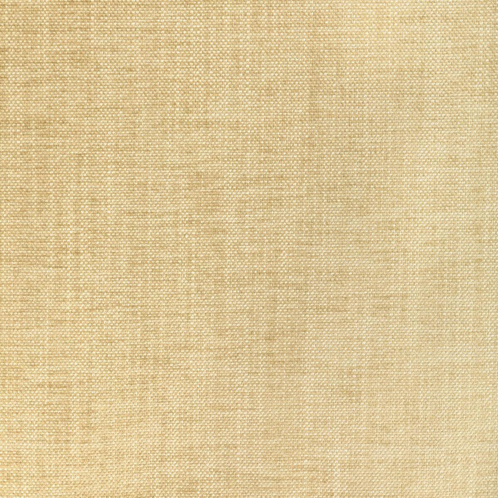 Kravet KRAVET SMART 36650-1116 Fabric