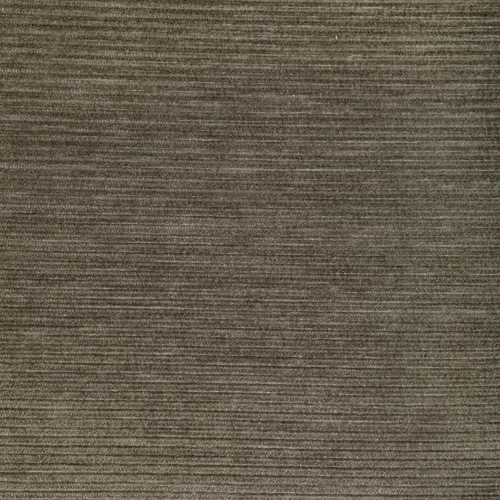 Kravet KRAVET SMART 36651-106 Fabric