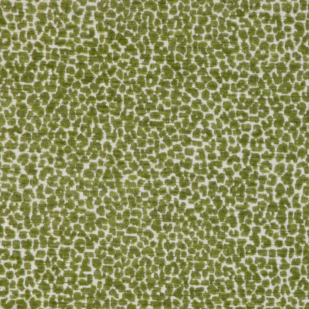 Kravet KRAVET DESIGN 36777-3 Fabric