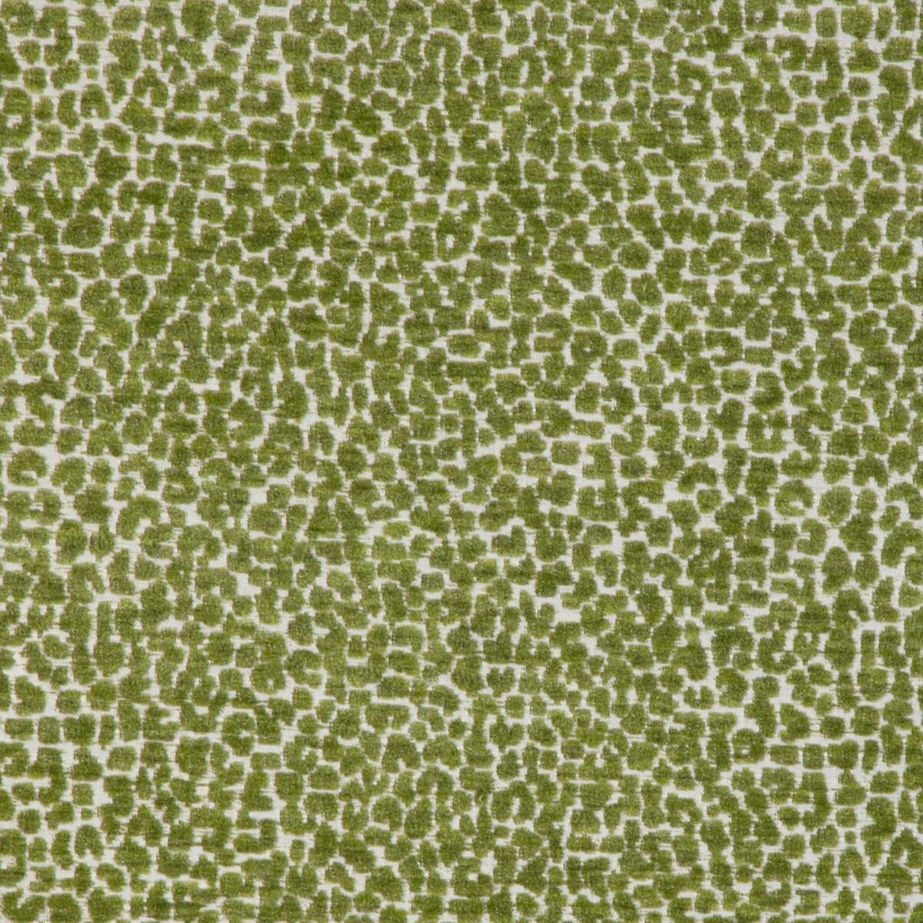 Kravet 36777 3 Fabric