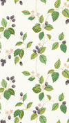 Sanderson Rubus Blackberry Wallpaper