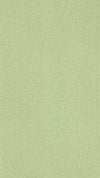 Sanderson Sessile Plain Moss Green Wallpaper