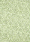 Sanderson Truffle Sap Green Fabric