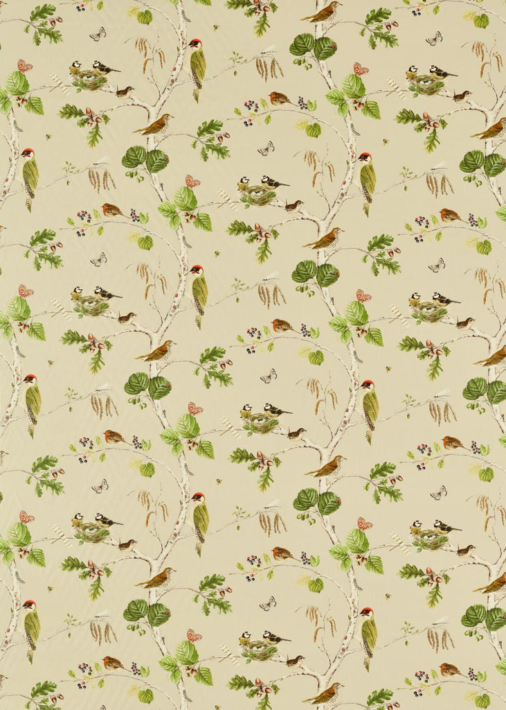 Sanderson Woodland Chorus Birch/Multi Fabric