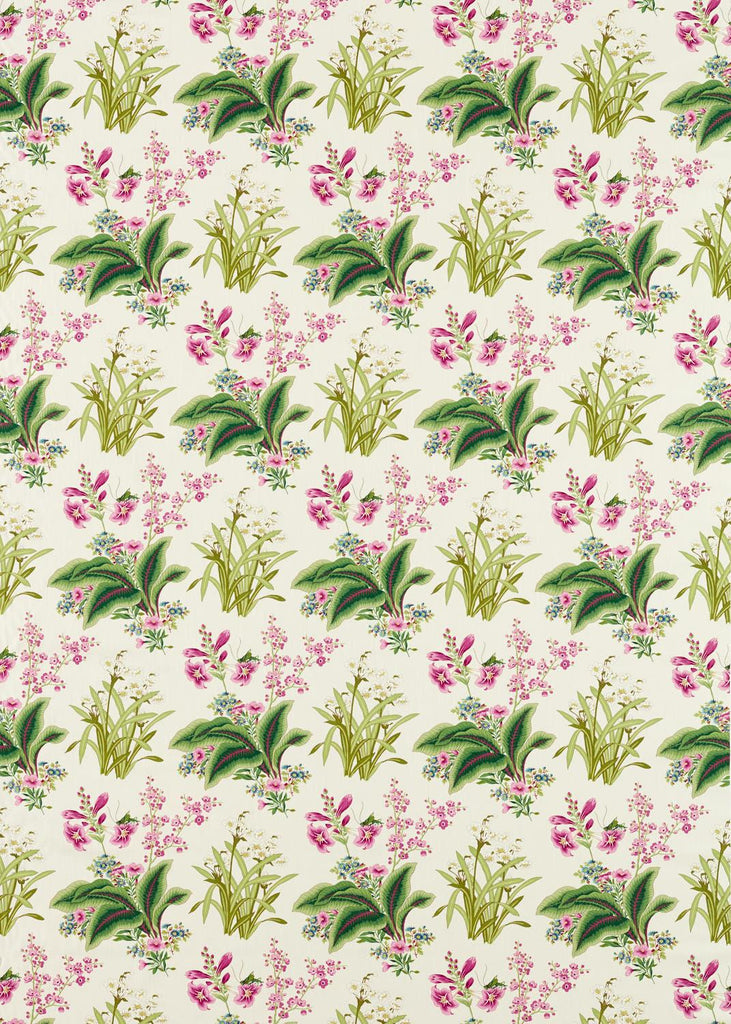 Sanderson Enys Garden Rose/ Leaf Fabric