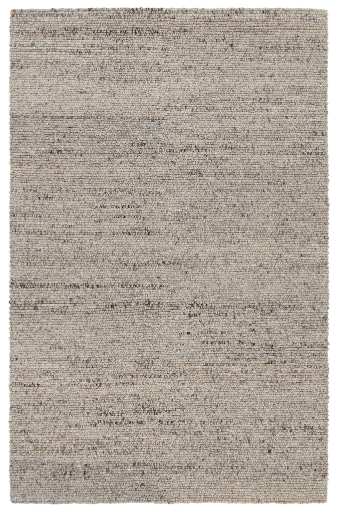 Jaipur Living Navarra Burch Solid Gray / Brown 8' x 10' Rug