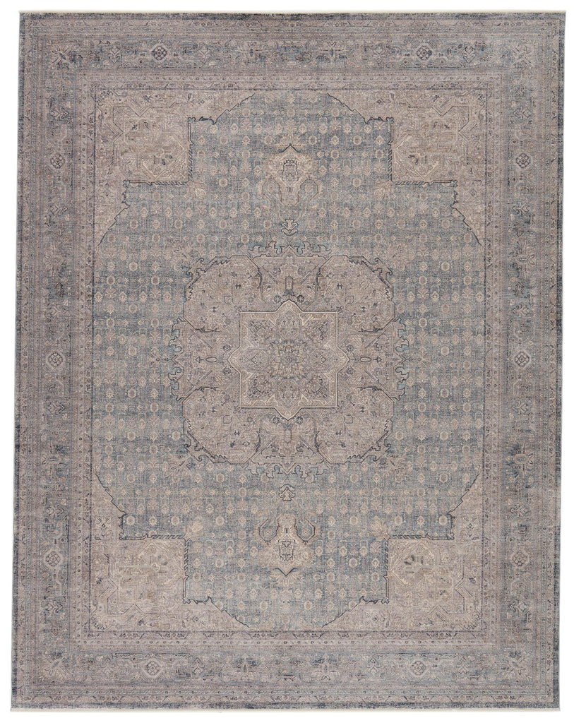 Jaipur Living Winsome Epsilon Medallion Blue / Gray 6'3" x 9'6" Rug