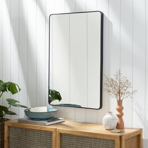 Surya Aranya RAY-023 Black 30"H x 20"W x 1"D Mirror