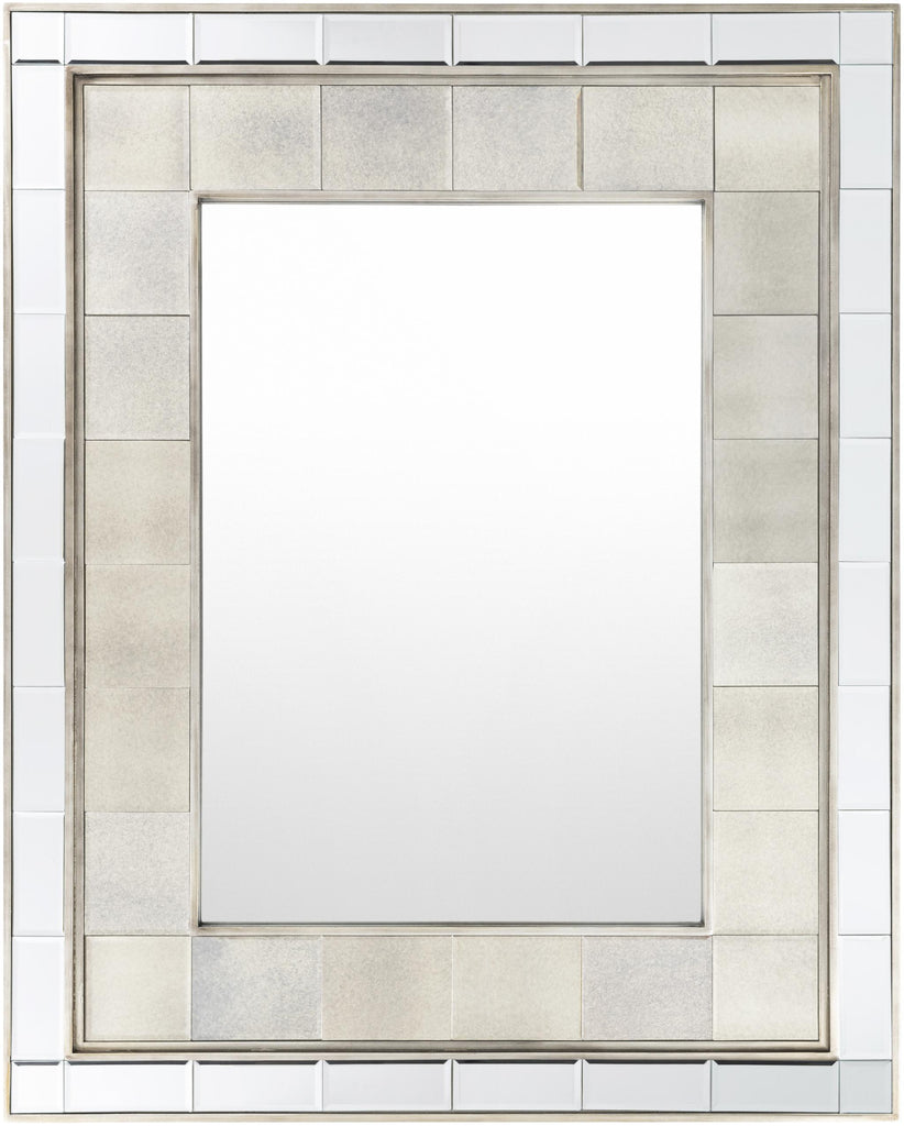 Surya Arragon AAG-001 Clear 50"H x 40"W x 2"D Mirror