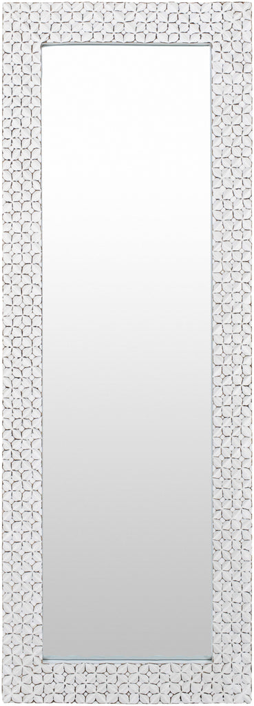 Surya Beluga BGU-001 69"H x 25"W x 2"D Mirror