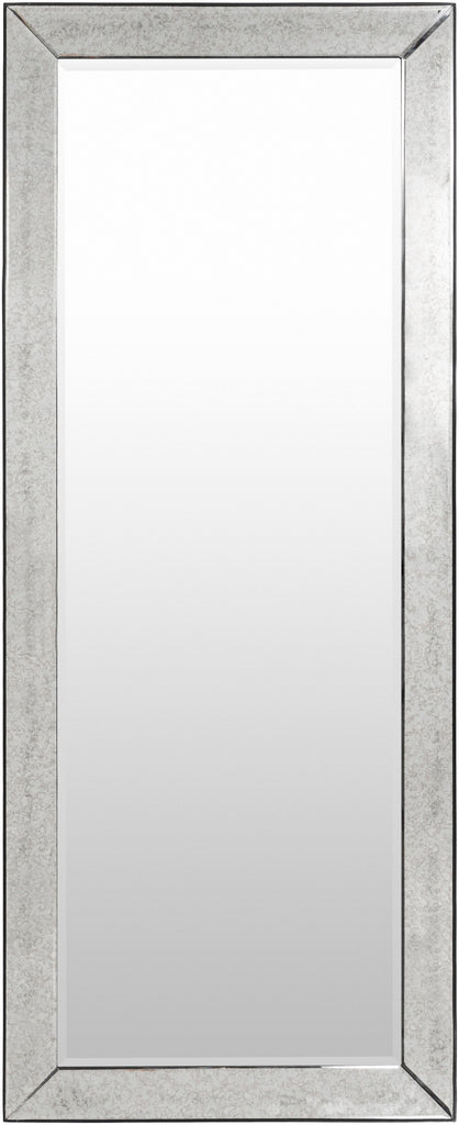 Surya Calloway CLW-001 72"H x 30"W x 2"D Mirror