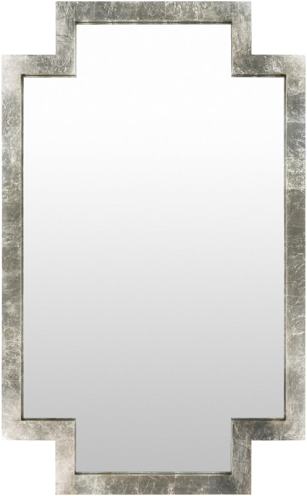 Surya Dayton DAY-001 65"H x 40"W x 2"D Mirror