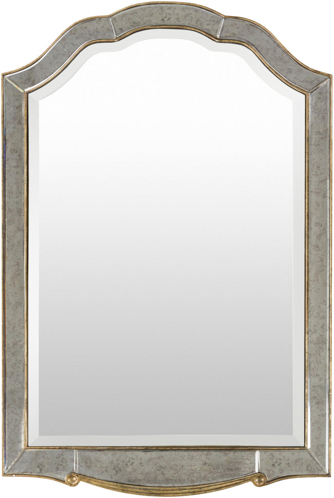 Surya Oleander OND-2500 Gold Metallic - Silver 48"H x 32"W x 1"D Mirror