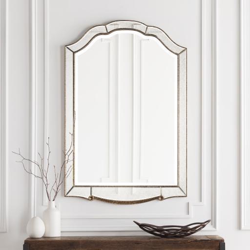 Surya Oleander OND-2500 Gold Metallic - Silver 48"H x 32"W x 1"D Mirror