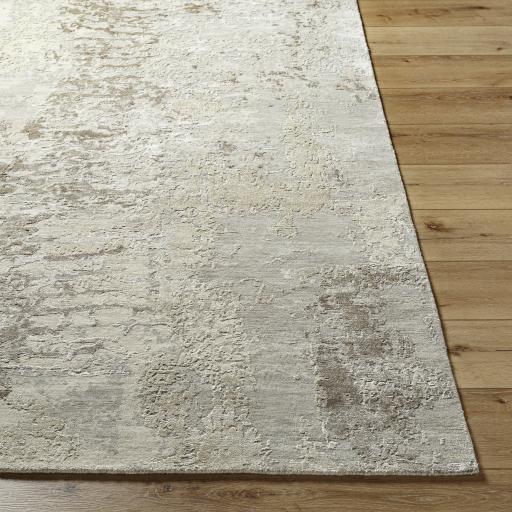 Surya Abbey BBY-2301 Brown Off-White 2' x 3' Rug