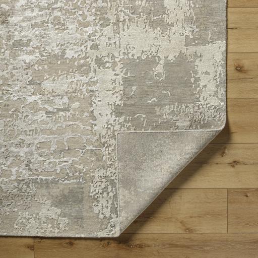 Surya Abbey BBY-2301 Brown Off-White 2' x 3' Rug