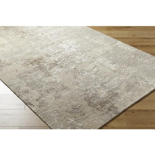 Surya Abbey BBY-2301 Brown Off-White 2' x 3' Rug