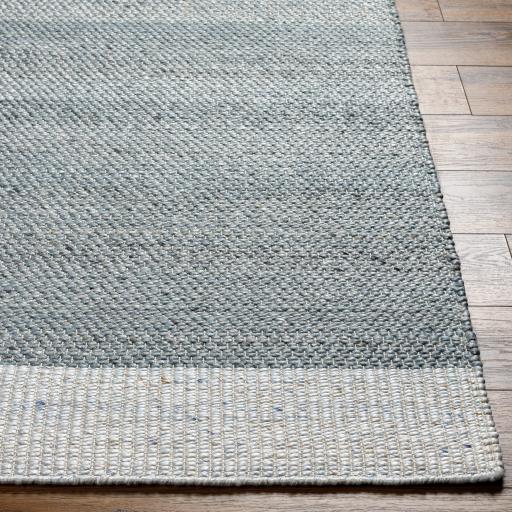 Surya Abby ABB-2302 Beige Blue 2' x 3' Rug