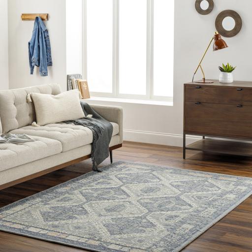 Surya Addyson AYO-2301 Blue Ivory 2' x 3' Rug