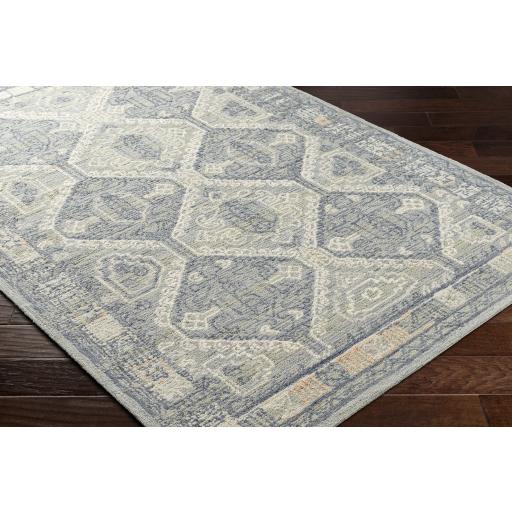 Surya Addyson AYO-2301 Blue Ivory 2' x 3' Rug