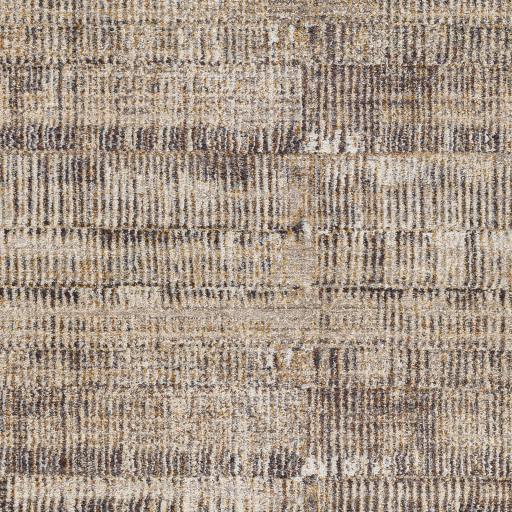 Surya Aida AAD-2304 Beige Charcoal 2' x 2'11" Rug