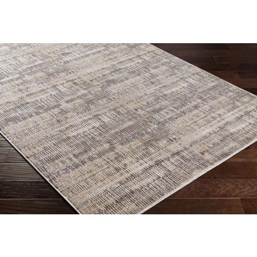 Surya Aida AAD-2304 Beige Charcoal 2' x 2'11" Rug