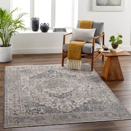 Surya Aida AAD-2311 Beige Charcoal 2' x 2'11" Rug