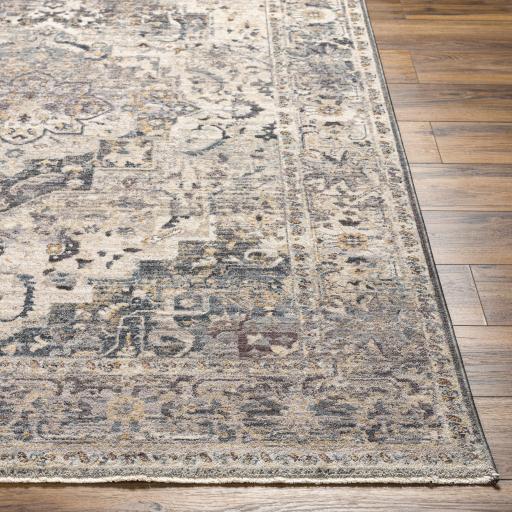 Surya Aida AAD-2311 Beige Charcoal 2' x 2'11" Rug