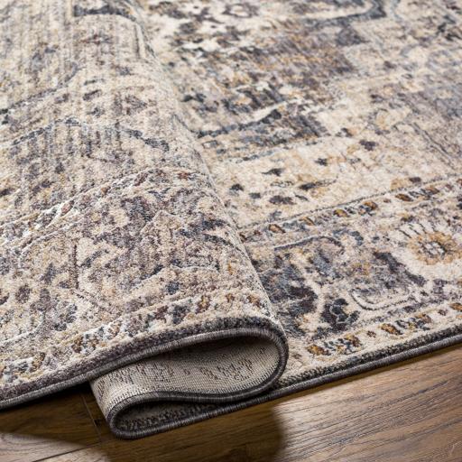 Surya Aida AAD-2311 Beige Charcoal 2' x 2'11" Rug