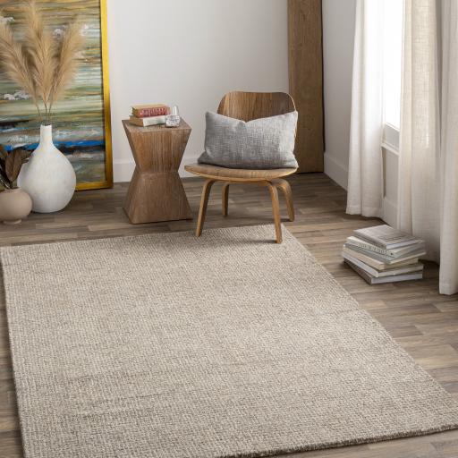 Surya Aiden AEN-1005 Gray Ivory 10' x 14' Rug