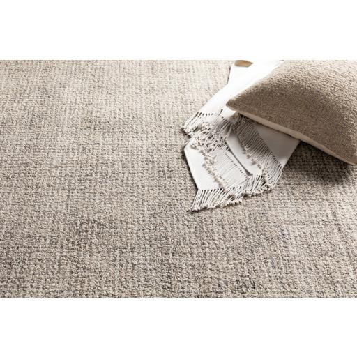 Surya Aiden AEN-1005 Gray Ivory 10' x 14' Rug