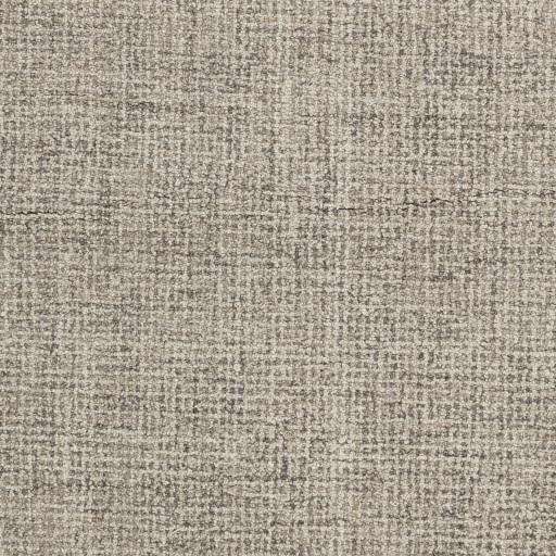 Surya Aiden AEN-1005 Gray Ivory 10' x 14' Rug