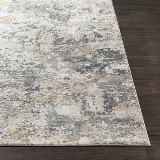 Surya Aisha AIS-2303 Charcoal Gray 10' x 14' Rug