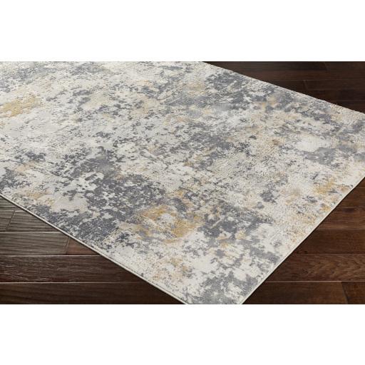 Surya Aisha AIS-2303 Charcoal Gray 10' x 14' Rug