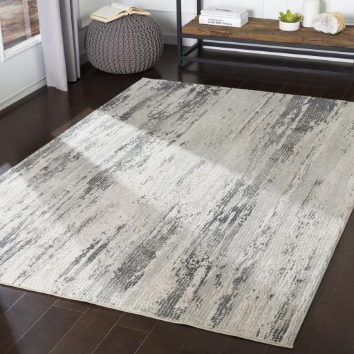 Surya Aisha AIS-2304 Charcoal Gray 10' x 14' Rug