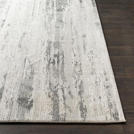 Surya Aisha AIS-2304 Charcoal Gray 10' x 14' Rug