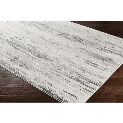 Surya Aisha AIS-2304 Charcoal Gray 10' x 14' Rug