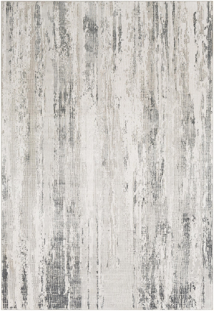 Surya Aisha AIS-2304 Charcoal Gray 8'10" x 12'4" Rug