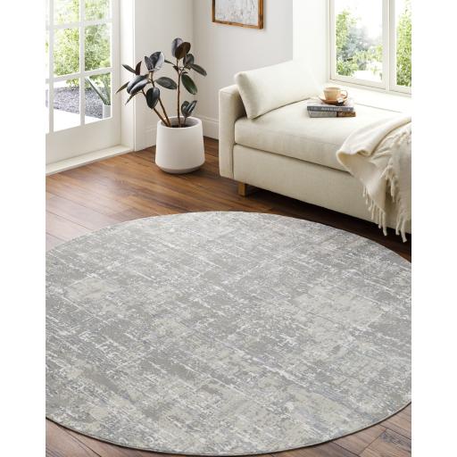 Surya Aisha AIS-2305 Gray Light Gray 10' x 14' Rug