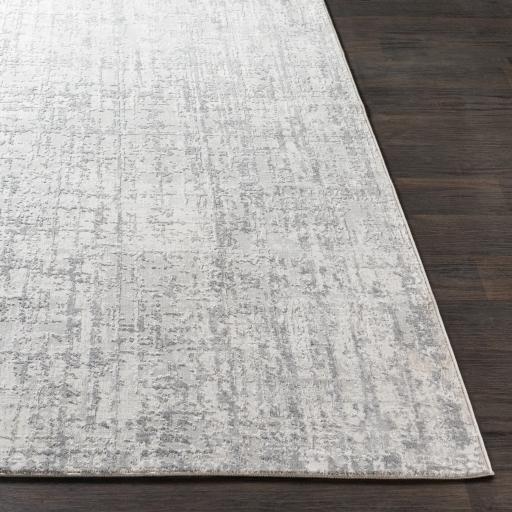 Surya Aisha AIS-2305 Gray Light Gray 10' x 14' Rug