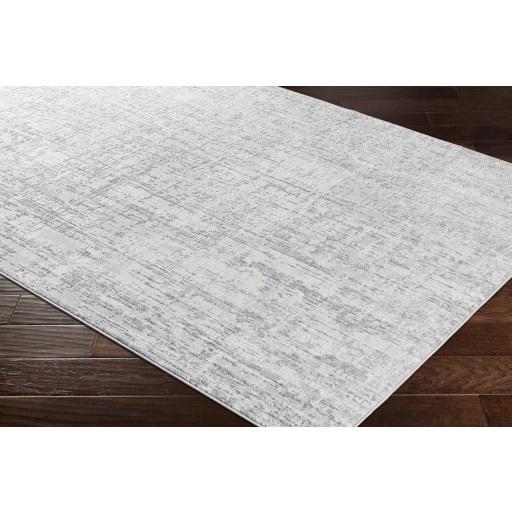 Surya Aisha AIS-2305 Gray Light Gray 10' x 14' Rug