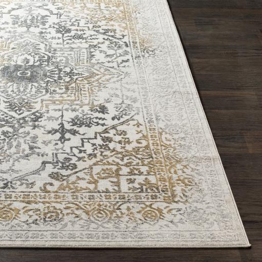 Surya Aisha AIS-2308 Charcoal Gray 10' x 14' Rug