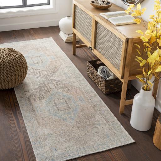 Surya Alanya ALY-2306 Coral Denim 2'7" x 7'3" Rug