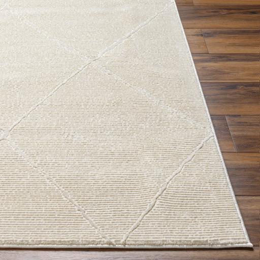 Surya Alder ALD-2300 Cream Ivory 23" x 45" Rug